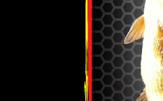 Mike Pharr Fishing - The Fishing Fireman!